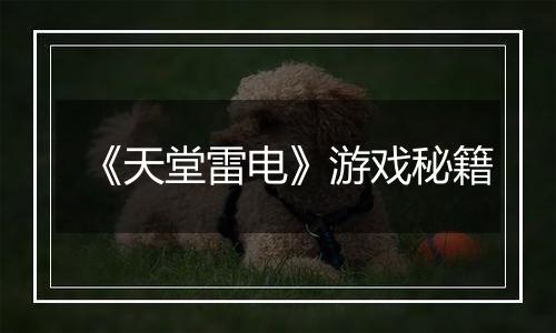 《天堂雷电》游戏秘籍