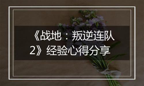 《战地：叛逆连队2》经验心得分享