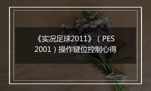 《实况足球2011》（PES2001）操作键位控制心得