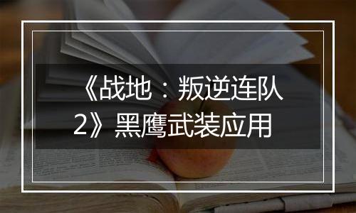 《战地：叛逆连队2》黑鹰武装应用