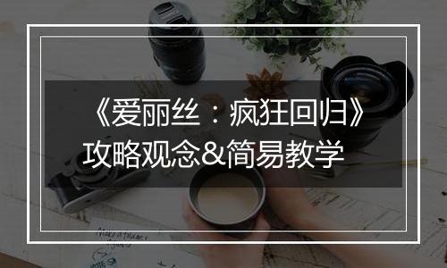 《爱丽丝：疯狂回归》攻略观念&简易教学