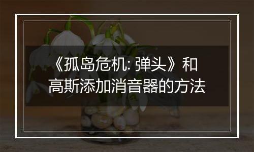 《孤岛危机: 弹头》和高斯添加消音器的方法