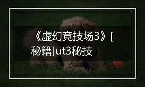 《虚幻竞技场3》[秘籍]ut3秘技