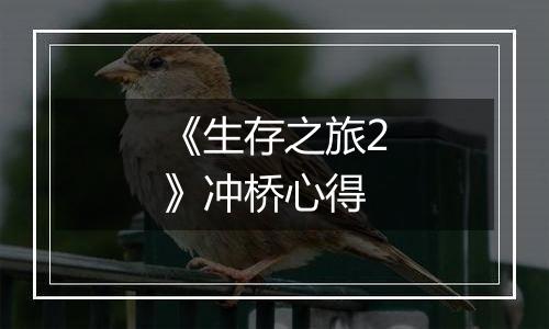 《生存之旅2》冲桥心得