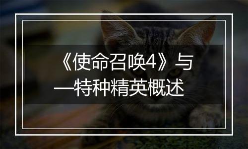 《使命召唤4》与—特种精英概述