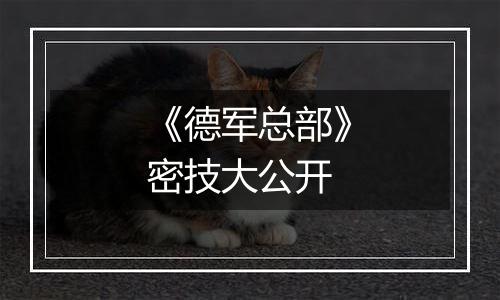 《德军总部》密技大公开