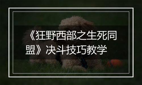 《狂野西部之生死同盟》决斗技巧教学