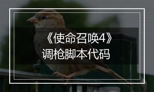 《使命召唤4》调枪脚本代码