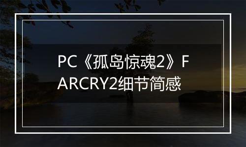 PC《孤岛惊魂2》FARCRY2细节简感