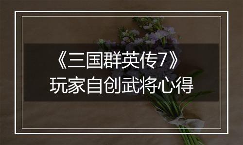 《三国群英传7》玩家自创武将心得