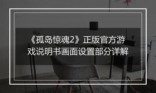 《孤岛惊魂2》正版官方游戏说明书画面设置部分详解