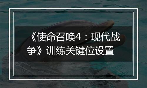《使命召唤4：现代战争》训练关键位设置