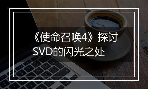 《使命召唤4》探讨 SVD的闪光之处