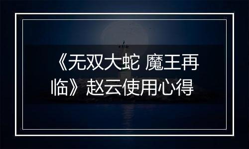 《无双大蛇 魔王再临》赵云使用心得