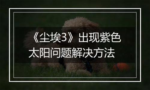 《尘埃3》出现紫色太阳问题解决方法