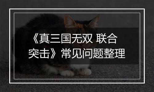 《真三国无双 联合突击》常见问题整理