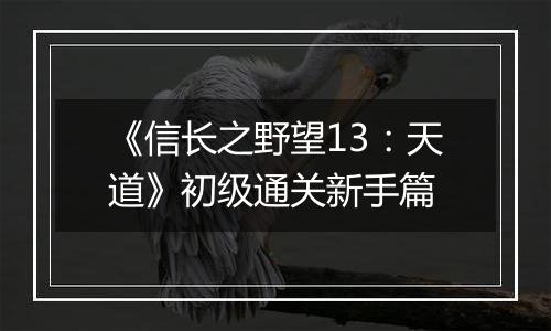 《信长之野望13：天道》初级通关新手篇
