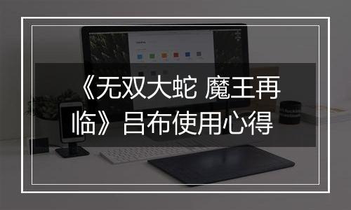 《无双大蛇 魔王再临》吕布使用心得