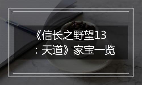 《信长之野望13：天道》家宝一览
