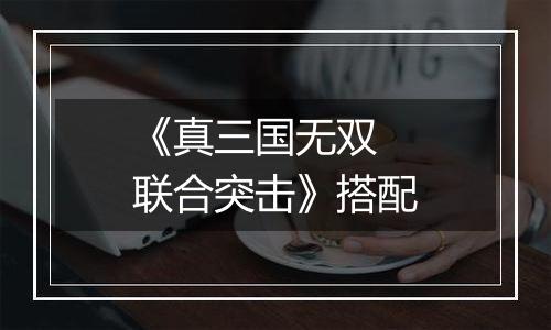 《真三国无双 联合突击》搭配