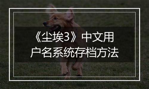 《尘埃3》中文用户名系统存档方法