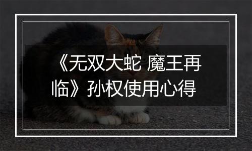《无双大蛇 魔王再临》孙权使用心得