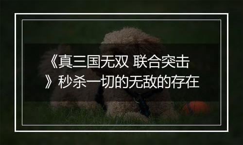 《真三国无双 联合突击》秒杀一切的无敌的存在