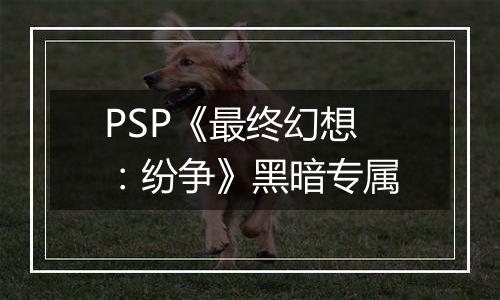 PSP《最终幻想：纷争》黑暗专属