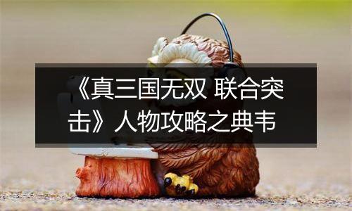 《真三国无双 联合突击》人物攻略之典韦