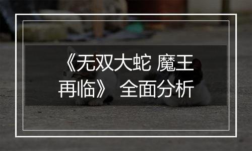 《无双大蛇 魔王再临》 全面分析