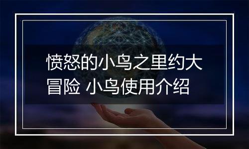 愤怒的小鸟之里约大冒险 小鸟使用介绍