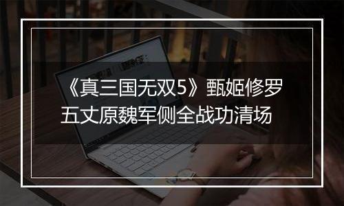 《真三国无双5》甄姬修罗五丈原魏军侧全战功清场