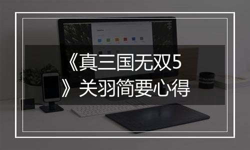 《真三国无双5》关羽简要心得