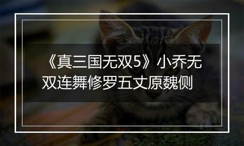 《真三国无双5》小乔无双连舞修罗五丈原魏侧