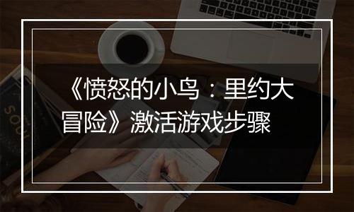 《愤怒的小鸟：里约大冒险》激活游戏步骤