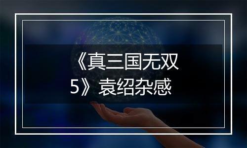 《真三国无双5》袁绍杂感