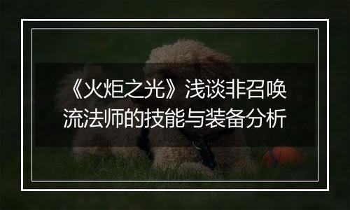 《火炬之光》浅谈非召唤流法师的技能与装备分析
