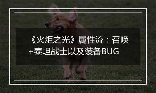 《火炬之光》属性流：召唤+泰坦战士以及装备BUG