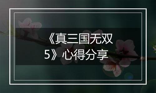 《真三国无双5》心得分享