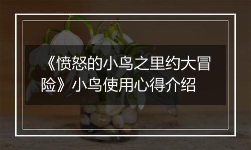 《愤怒的小鸟之里约大冒险》小鸟使用心得介绍