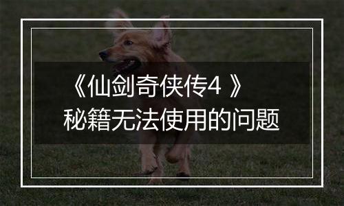 《仙剑奇侠传4 》秘籍无法使用的问题