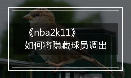 《nba2k11》如何将隐藏球员调出