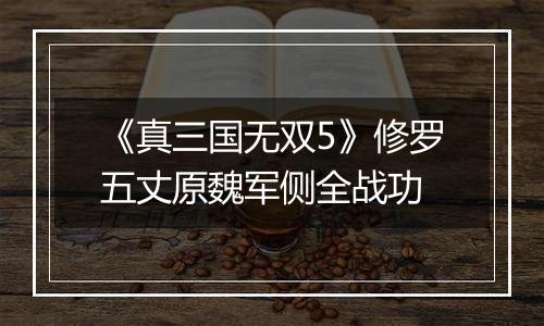 《真三国无双5》修罗五丈原魏军侧全战功