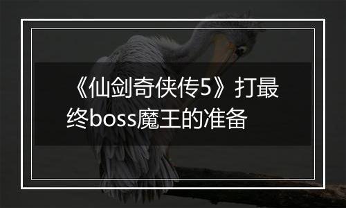 《仙剑奇侠传5》打最终boss魔王的准备