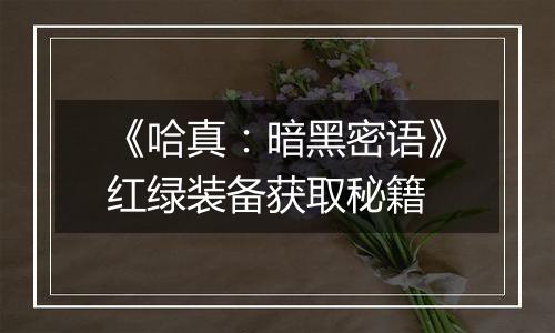 《哈真：暗黑密语》红绿装备获取秘籍