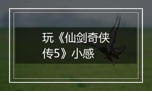 玩《仙剑奇侠传5》小感