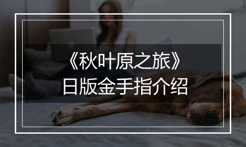 《秋叶原之旅》日版金手指介绍