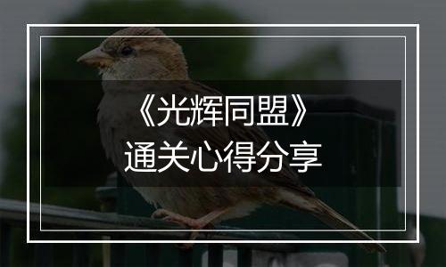 《光辉同盟》通关心得分享