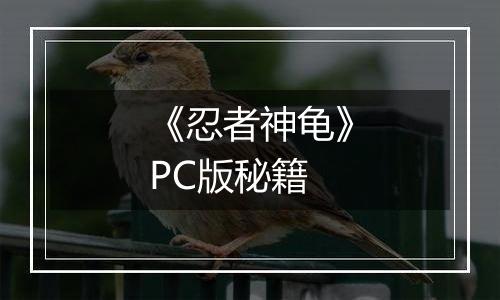 《忍者神龟》PC版秘籍