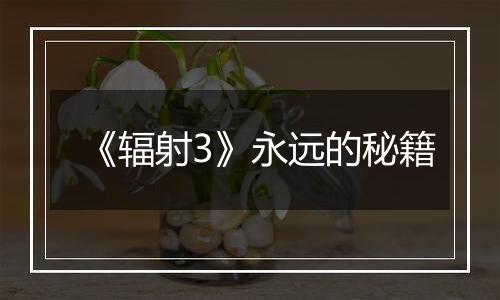 《辐射3》永远的秘籍